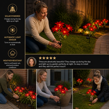 Solar Poinsettia Garden Lights with Red Flower Heads