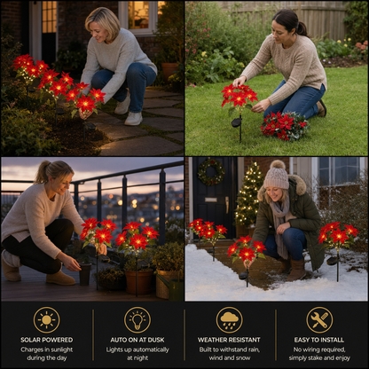 Solar Poinsettia Garden Lights with Red Flower Heads
