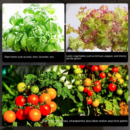 Smart Hydroponic System for Indoor Gardening - Soil-Free Plant Growth at Home
