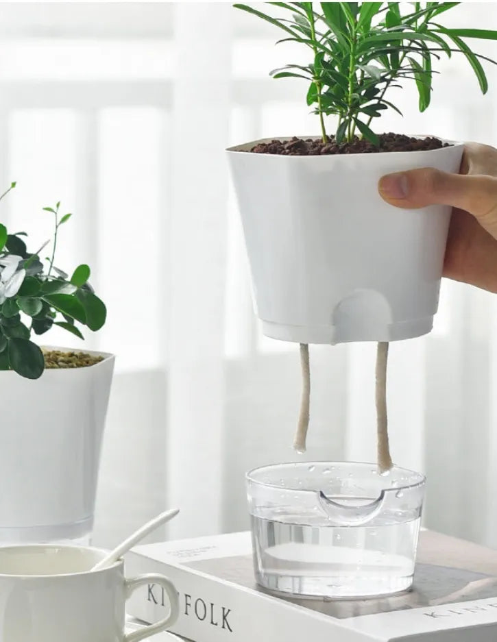 Self-Watering Flower Pot with Built-in Water Reservoir – Ideal for Houseplants