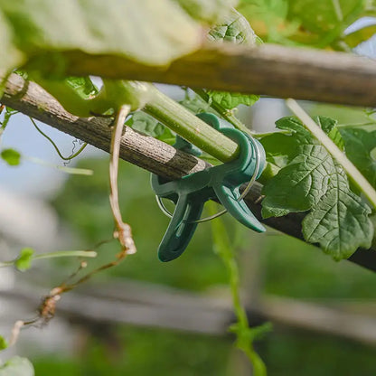Plant Support Clip Set – Adjustable Garden Loops for Plant Care and Growth Support