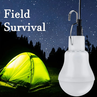 Solar LED Light with Panel – Energy-Efficient Lamp for Indoor and Outdoor Use