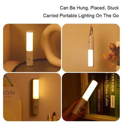 Rechargeable LED Motion Sensor Night Light