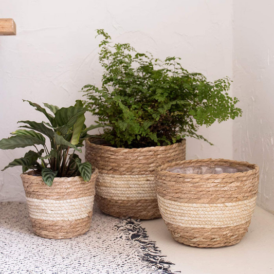 Set of 3 Handwoven Seagrass Plant Baskets - Decorative Flower Pots with Foil Liner