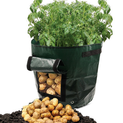 Potato Planting Grow Bag – Reusable With Window For Easy Harvesting