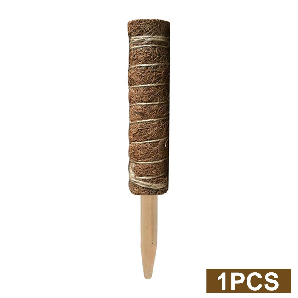 Natural Coconut Climbing Stick – Support for Houseplants and Garden Vines