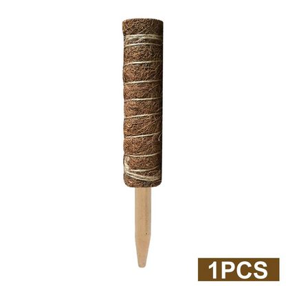 Natural Coconut Climbing Stick – Support for Houseplants and Garden Vines