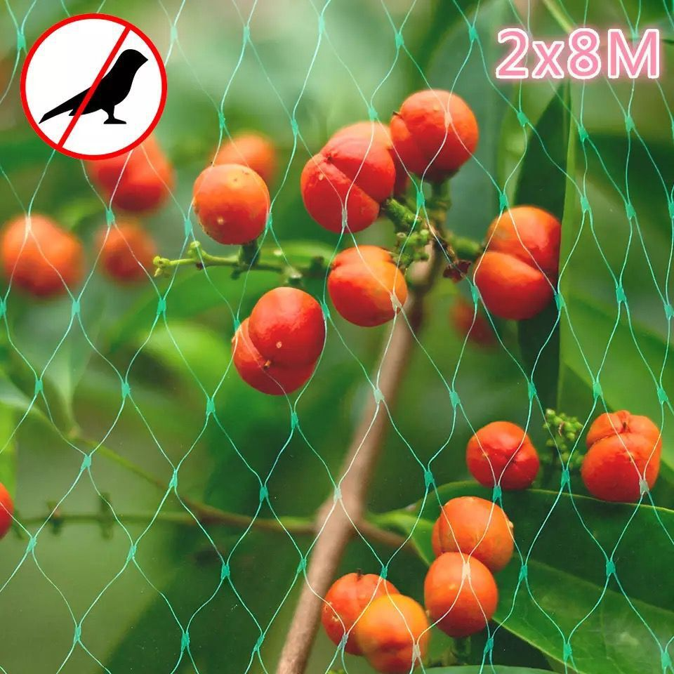 Garden Plant Protection Netting – Green Mesh to Shield Against Pests and Animals