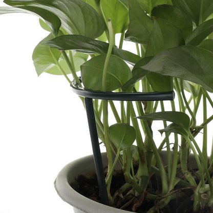Plant Climbing Support Cage - Sturdy Structure for Enhanced Growth and Stability