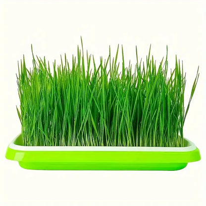 Seed Germination Tray with Lid – Double-Layer Plant Starter Tray for Efficient Growth