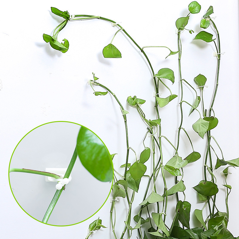 Wall Mount Clips for Climbing Plants – Durable Holders for Vertical Garden Decoration