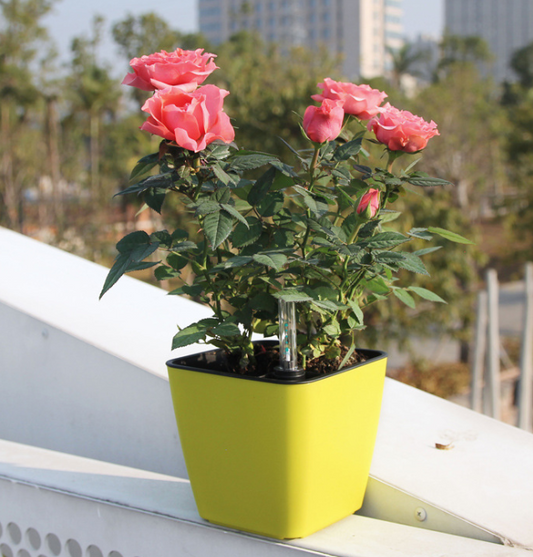 Self-Watering Flower Pot with Built-In Irrigation System – Indoor and Outdoor Planter for Easy Plant Care