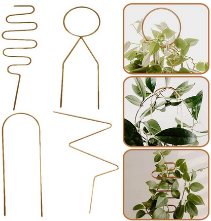 Durable Metal Plant Support - Versatile Shapes for Climbing and Vining Plants