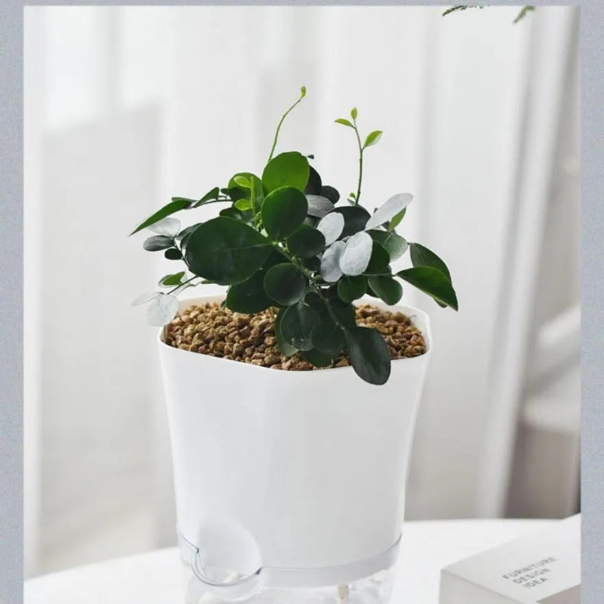 Self-Watering Flower Pot with Built-in Water Reservoir – Ideal for Houseplants
