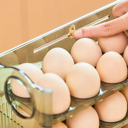 Egg Storage Organizer