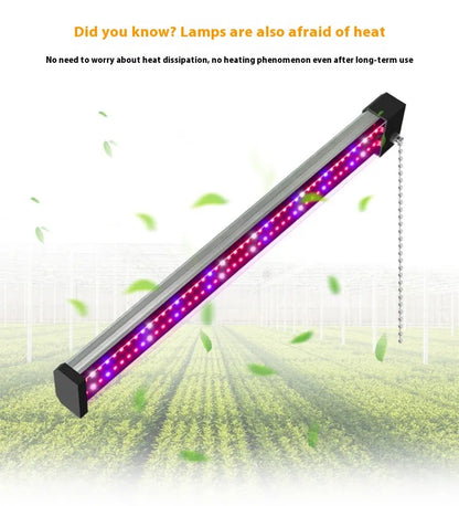 Full Spectrum LED Grow Light with Adjustable Pull Switch – Ideal for Promoting Plant Growth