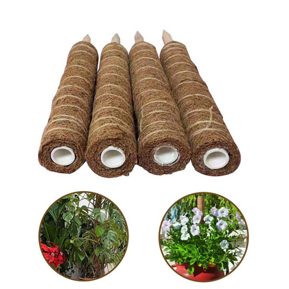 Natural Coconut Climbing Stick – Support for Houseplants and Garden Vines