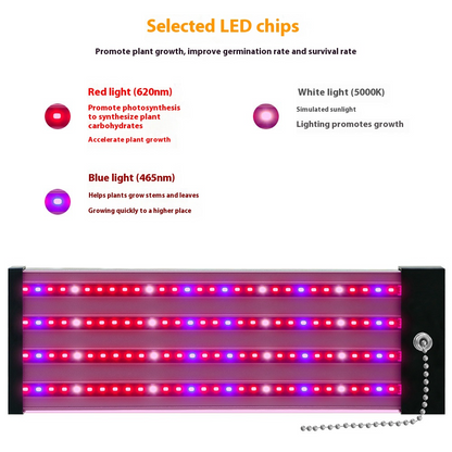 Full Spectrum LED Grow Light with Adjustable Pull Switch – Ideal for Promoting Plant Growth