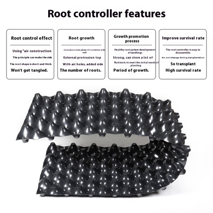 Effective Root Barrier System for Plants – Supports Healthy Growth and Landscaping Maintenance