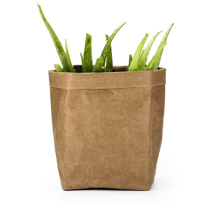 Eco-Chic Paper Plant Pots – Decorative Planters for Contemporary Interiors