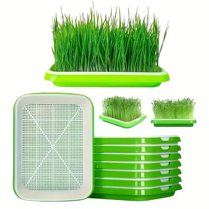 Seed Germination Tray with Lid – Double-Layer Plant Starter Tray for Efficient Growth