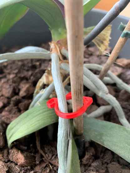 Animal-Shaped Plant Clips – Decorative Support for Garden and Indoor Plants