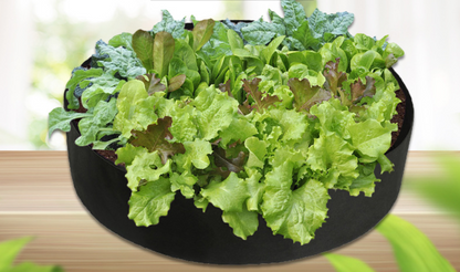 Circular Plant Growth Bag - Durable Garden Container for Healthy Plant Development