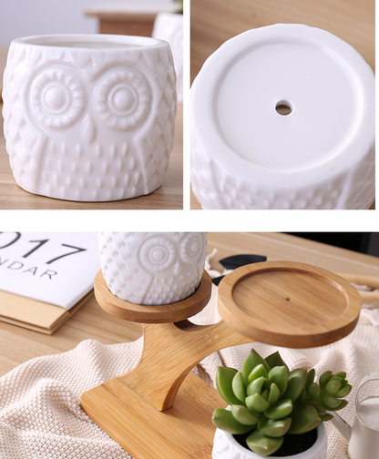 Wooden Plant Stand with Owl Design – Decorative Holder for Succulents and Houseplants