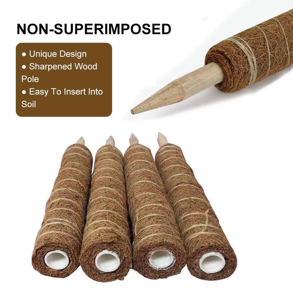 Natural Coconut Climbing Stick – Support for Houseplants and Garden Vines