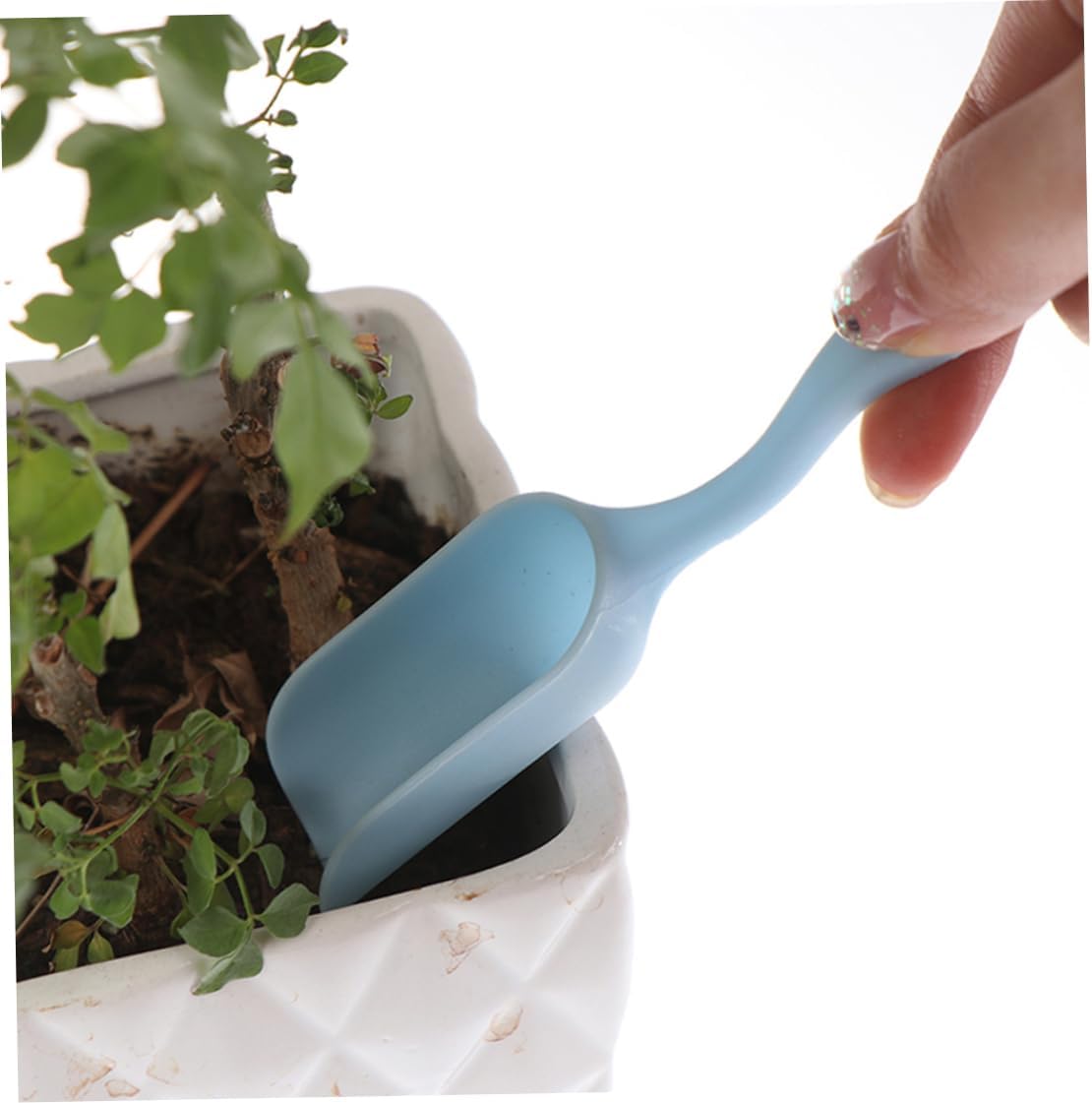 Succulent Planting Tool Kit - Complete Set for Care and Gardening