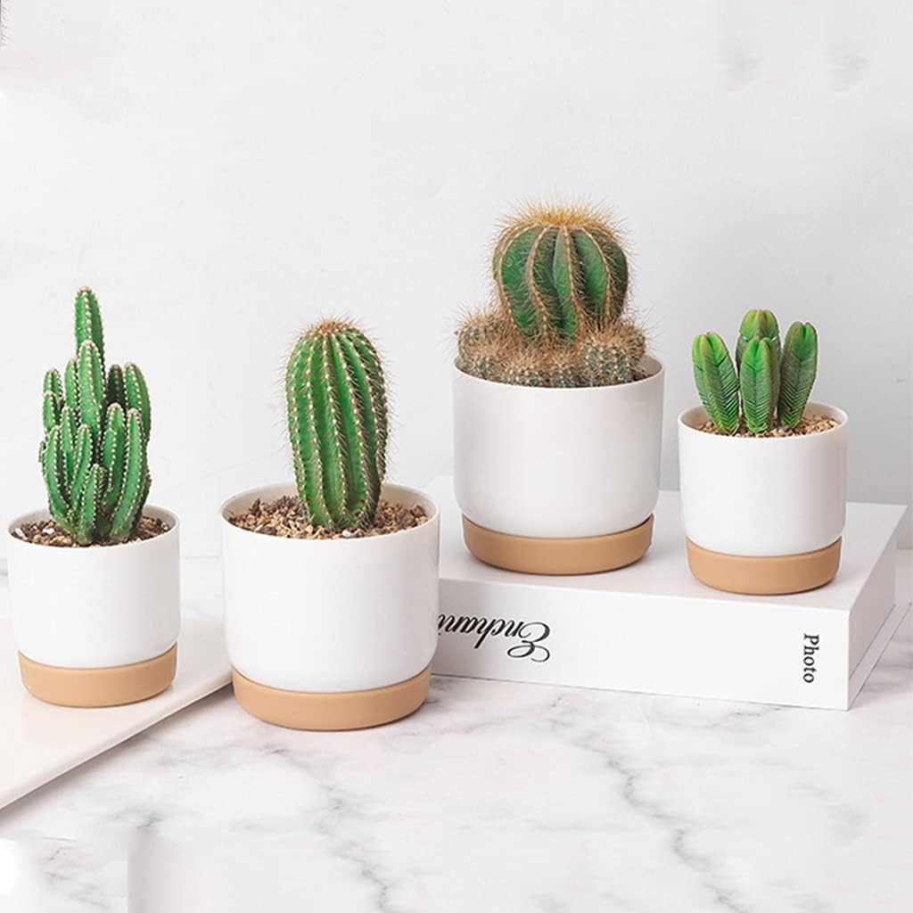 Self-Watering Planter for Orchids and Plants - Plastic Flower Pot for Easy Care