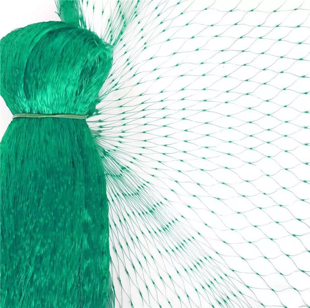Garden Plant Protection Netting – Green Mesh to Shield Against Pests and Animals