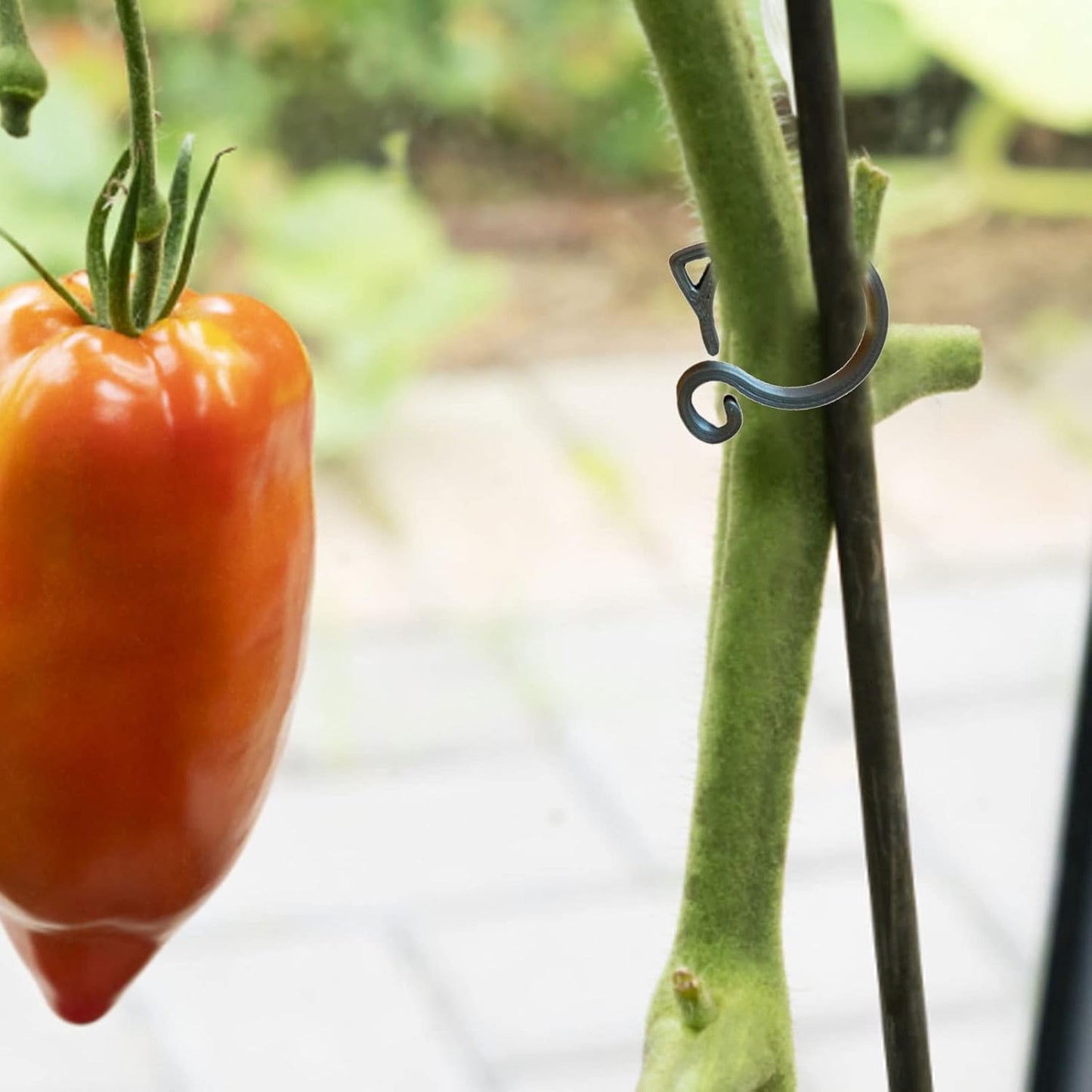 Animal-Shaped Plant Clips – Decorative Support for Garden and Indoor Plants