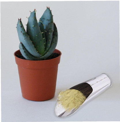 Durable Stainless Steel Planting Shovel – Strong Gardening Tool for Soil and Pots