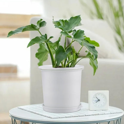Airflow Root Control Pot – Perfect for Promoting Healthy Plant Growth and Optimal Ventilation