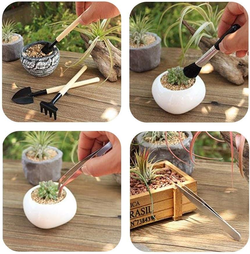 Mini Gardening Tool Kit for Succulents with Watering Bottle and Accessories