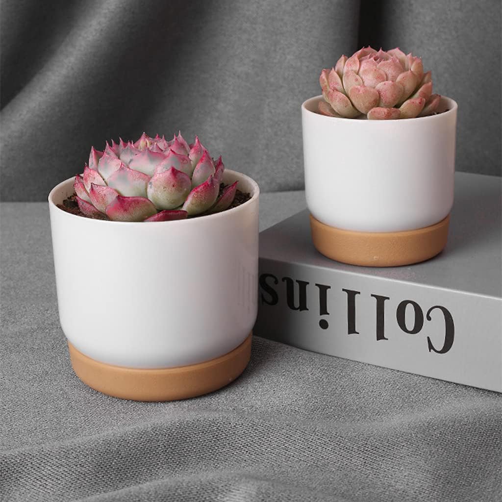 Self-Watering Planter for Orchids and Plants - Plastic Flower Pot for Easy Care
