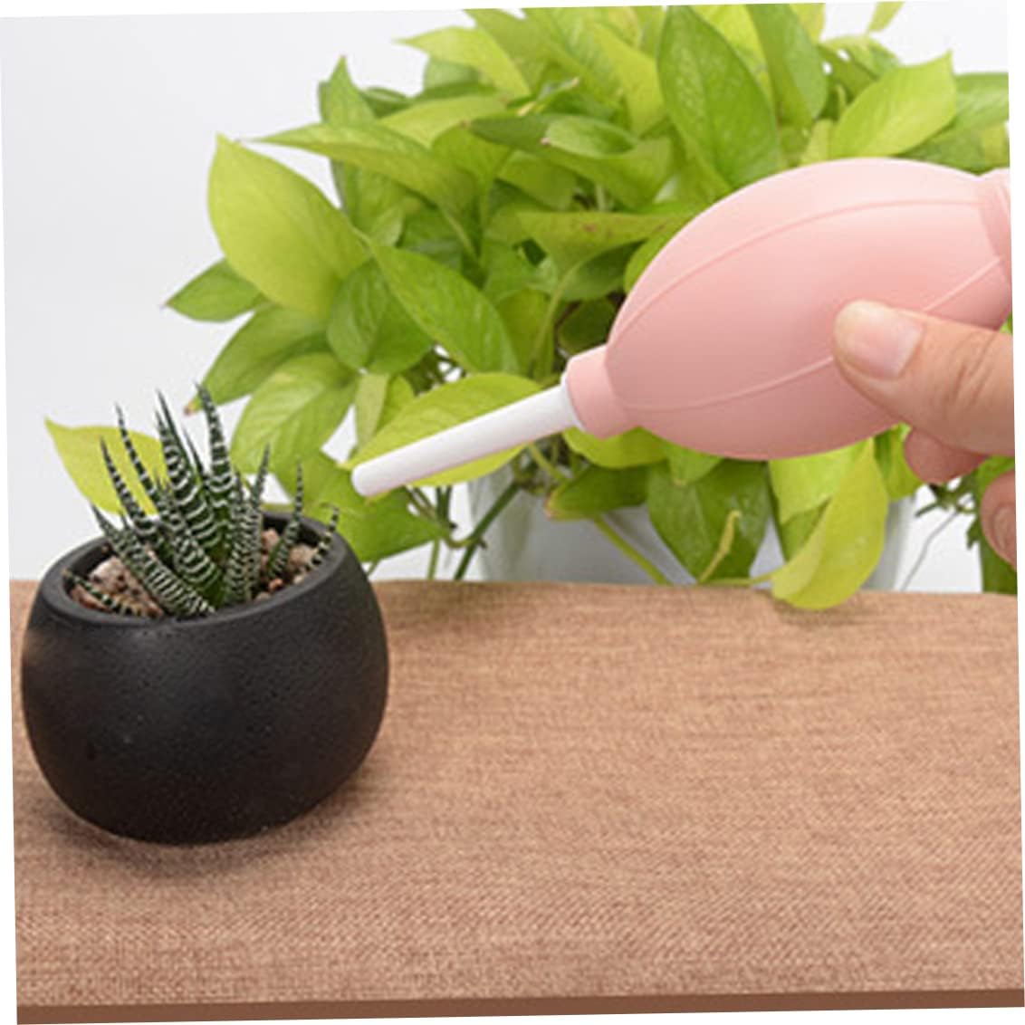Succulent Planting Tool Kit - Complete Set for Care and Gardening