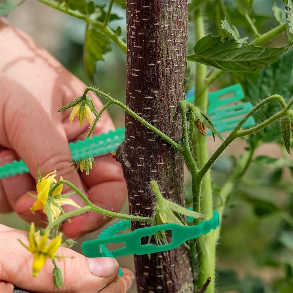 Plant Support Cable Tie Set - Secure and Stable Plant Fastening Solution
