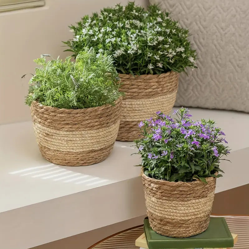 Set of 3 Handwoven Seagrass Plant Baskets - Decorative Flower Pots with Foil Liner