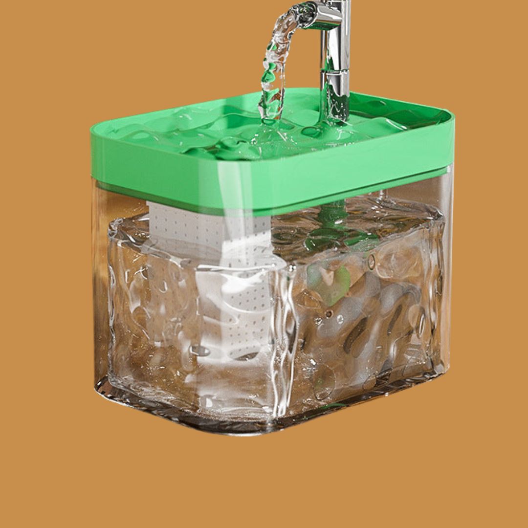 Pet Water Dispenser for Clean and Fresh water