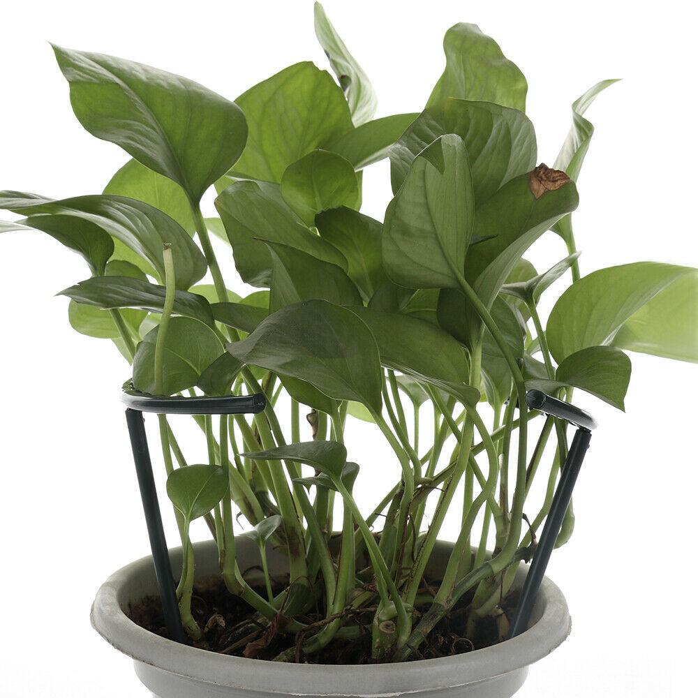Plant Climbing Support Cage - Sturdy Structure for Enhanced Growth and Stability