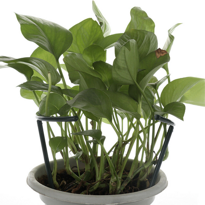 Plant Climbing Support Cage - Sturdy Structure for Enhanced Growth and Stability