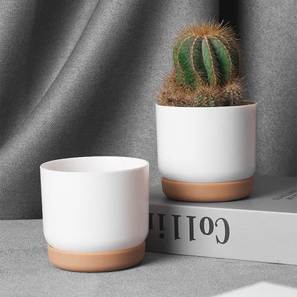 Self-Watering Planter for Orchids and Plants - Plastic Flower Pot for Easy Care