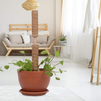 Natural Coconut Climbing Stick – Support for Houseplants and Garden Vines