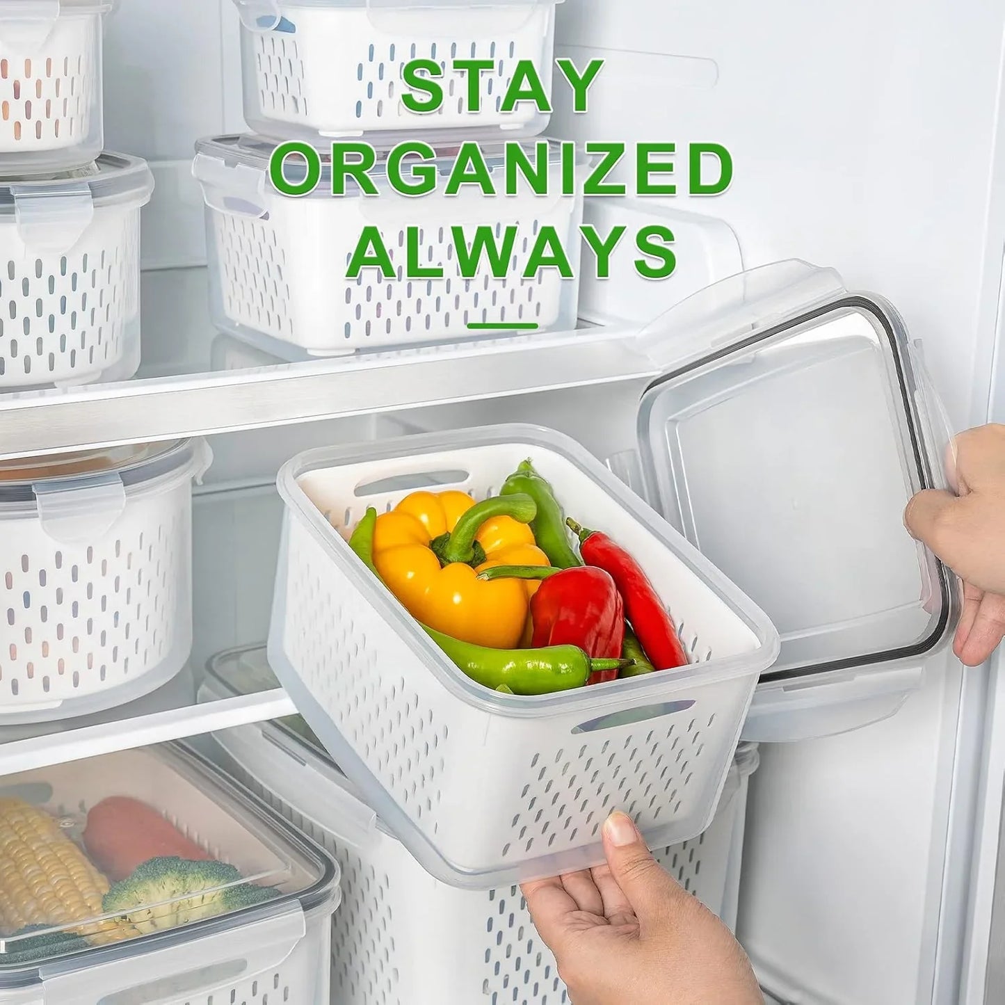 5-Piece Food Storage Set with Lids – Large, Practical, and Freshness Preserving