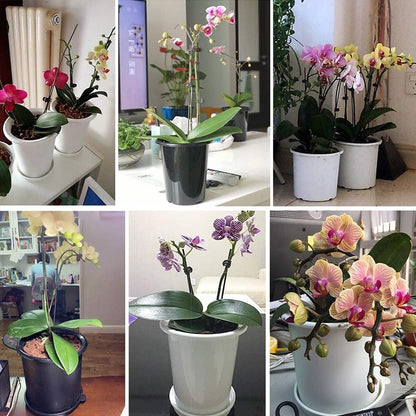 Airflow Root Control Pot – Perfect for Promoting Healthy Plant Growth and Optimal Ventilation