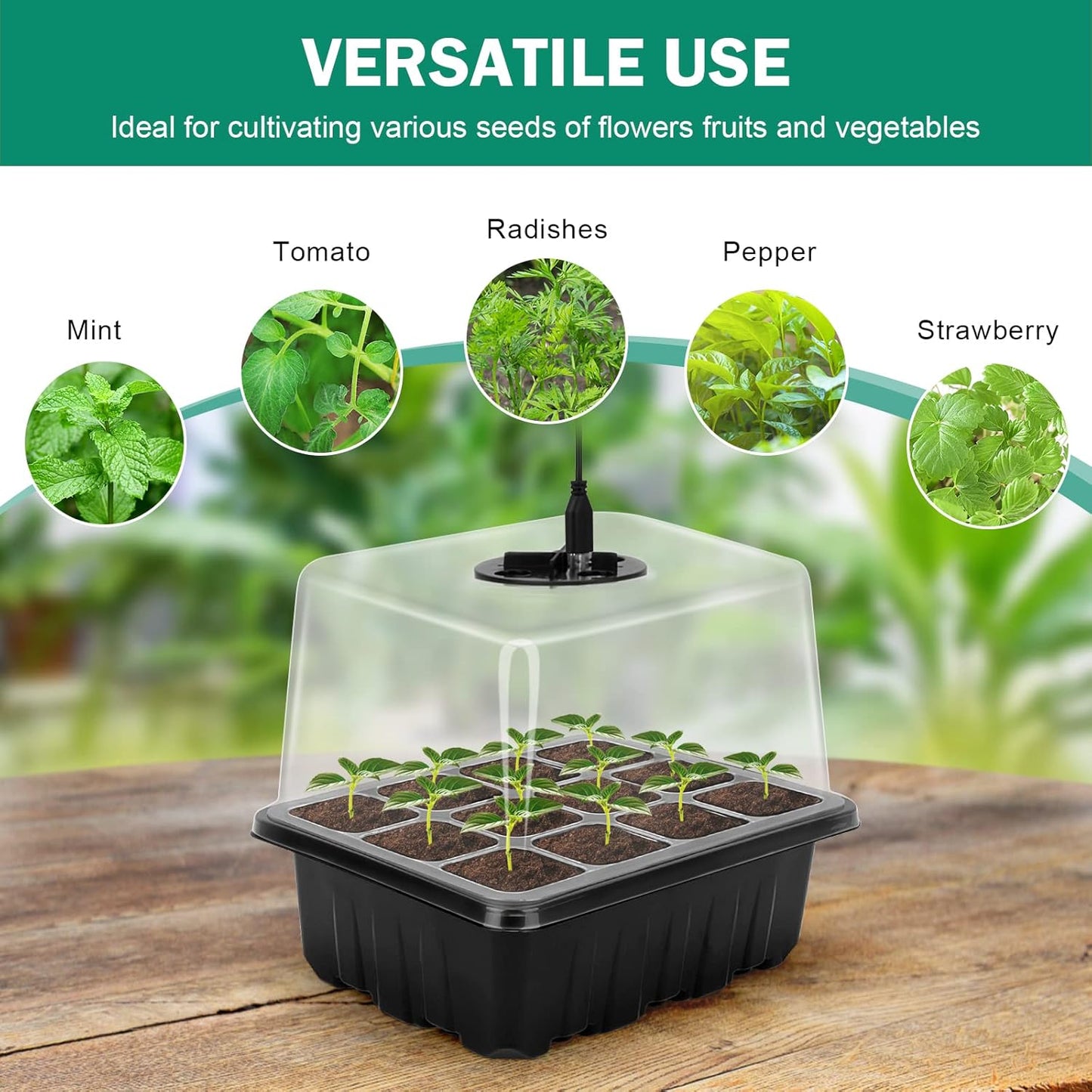 Plant Cultivation Kit with Grow Light - Complete Set for Thriving Indoor Plants