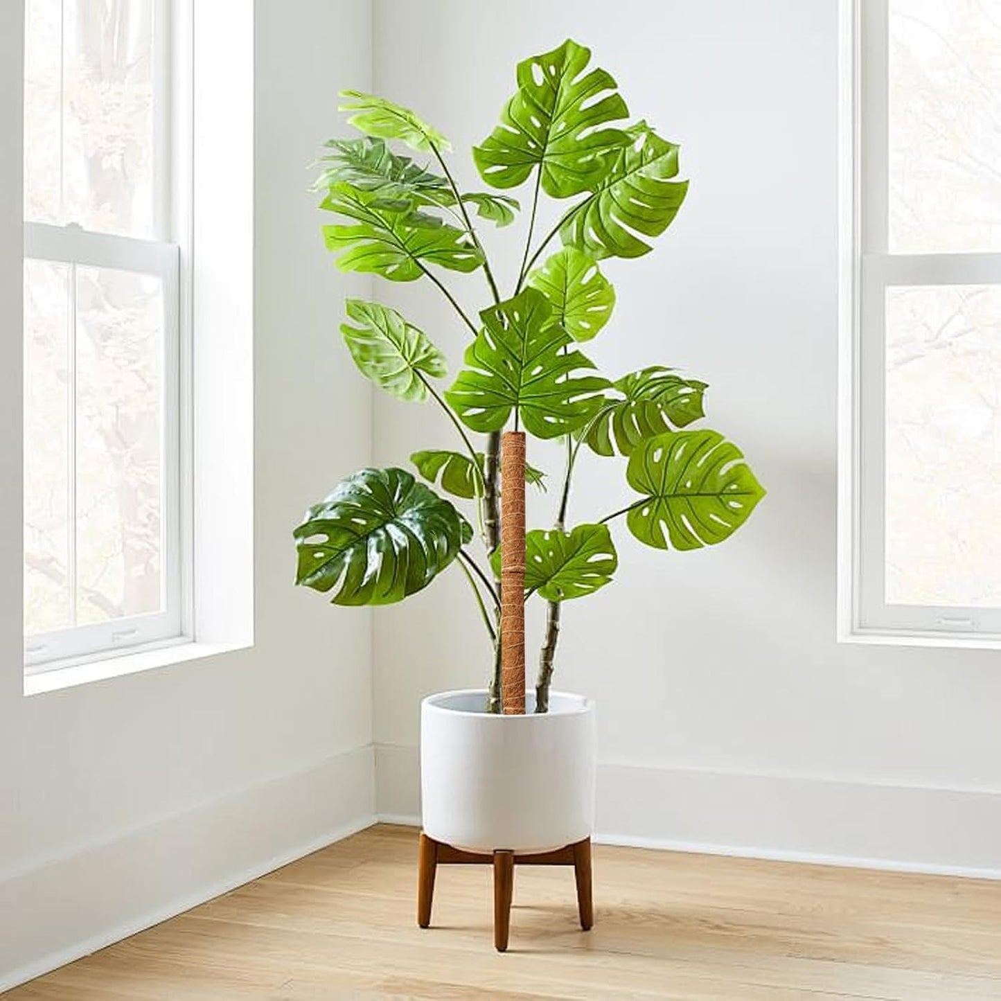 Natural Coconut Climbing Stick – Support for Houseplants and Garden Vines