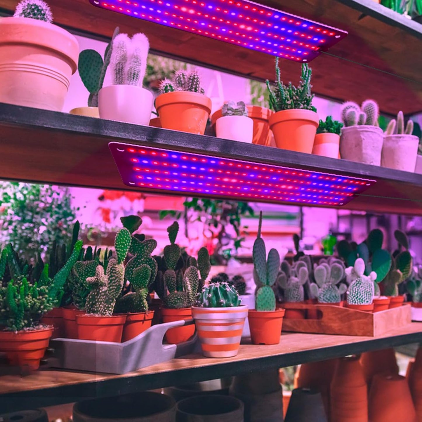 LED Plant Growth Light Panel – Adjustable Quantum Lighting for Enhanced Growth and Vibrant Colours